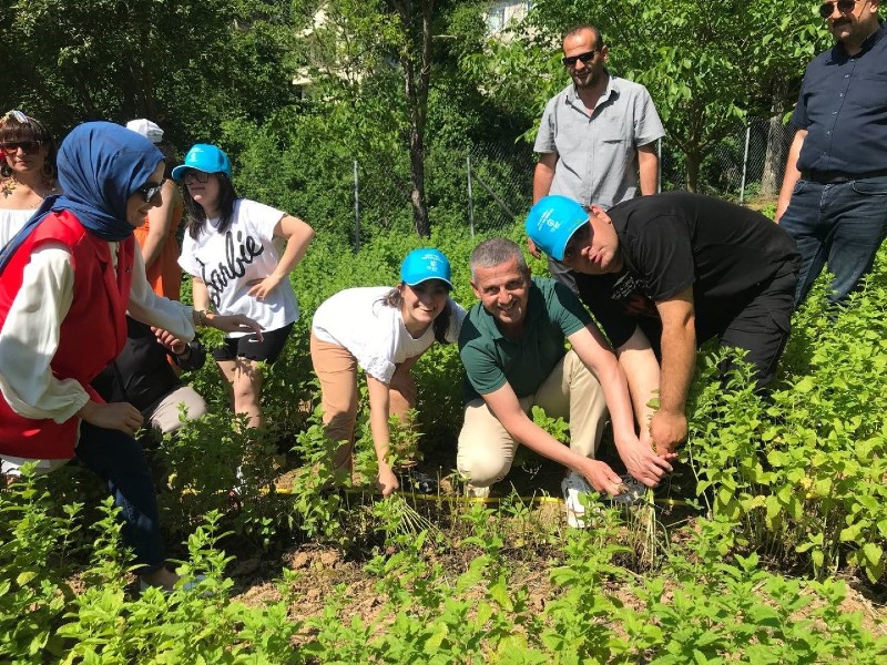 Özel çocuklara aromatik bitki rehabilitesi
