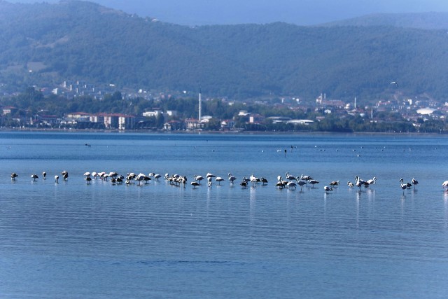 Bu güzelliği görmelisiniz