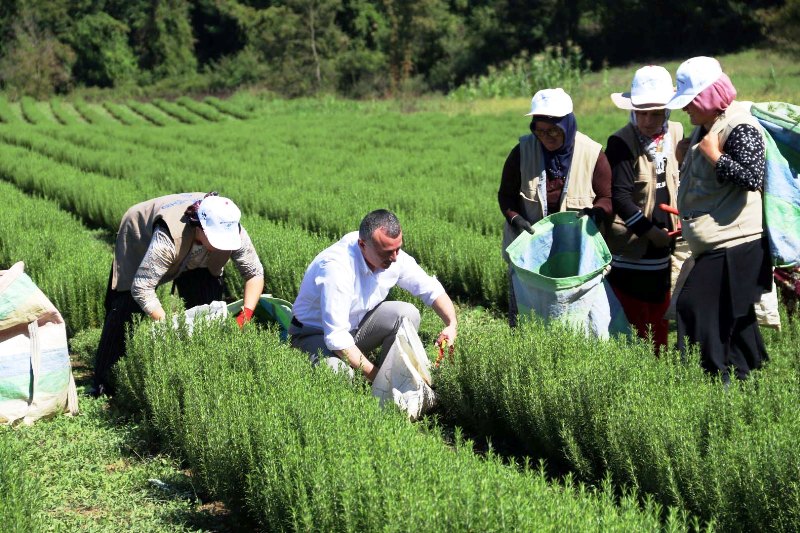 30 Büyükşehir Kocaeli'de tarımı konuşacak