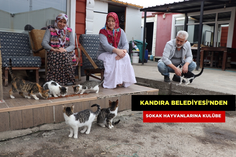 Kandıra Belediyesi’nden sokak hayvanlarına kulübe