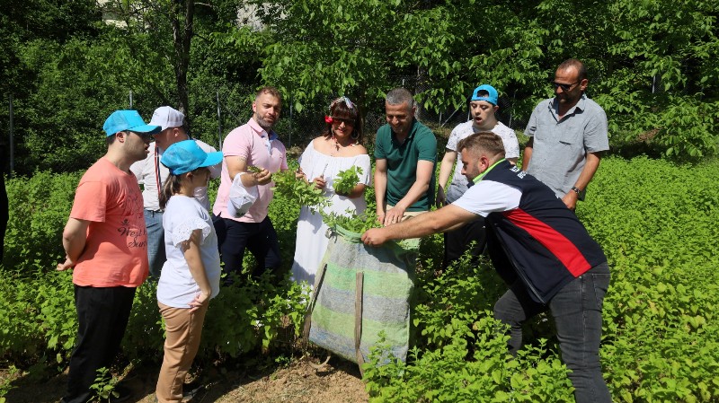 Özel çocuklara aromatik bitki rehabilitesi